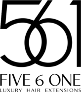 Five 6 One